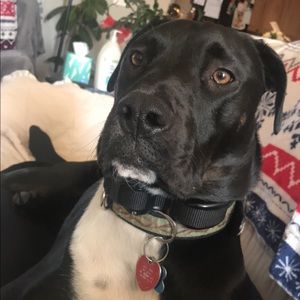 Meet your Posher, Nora